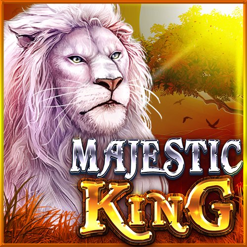 wildbet