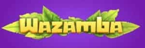 Blaze spinner